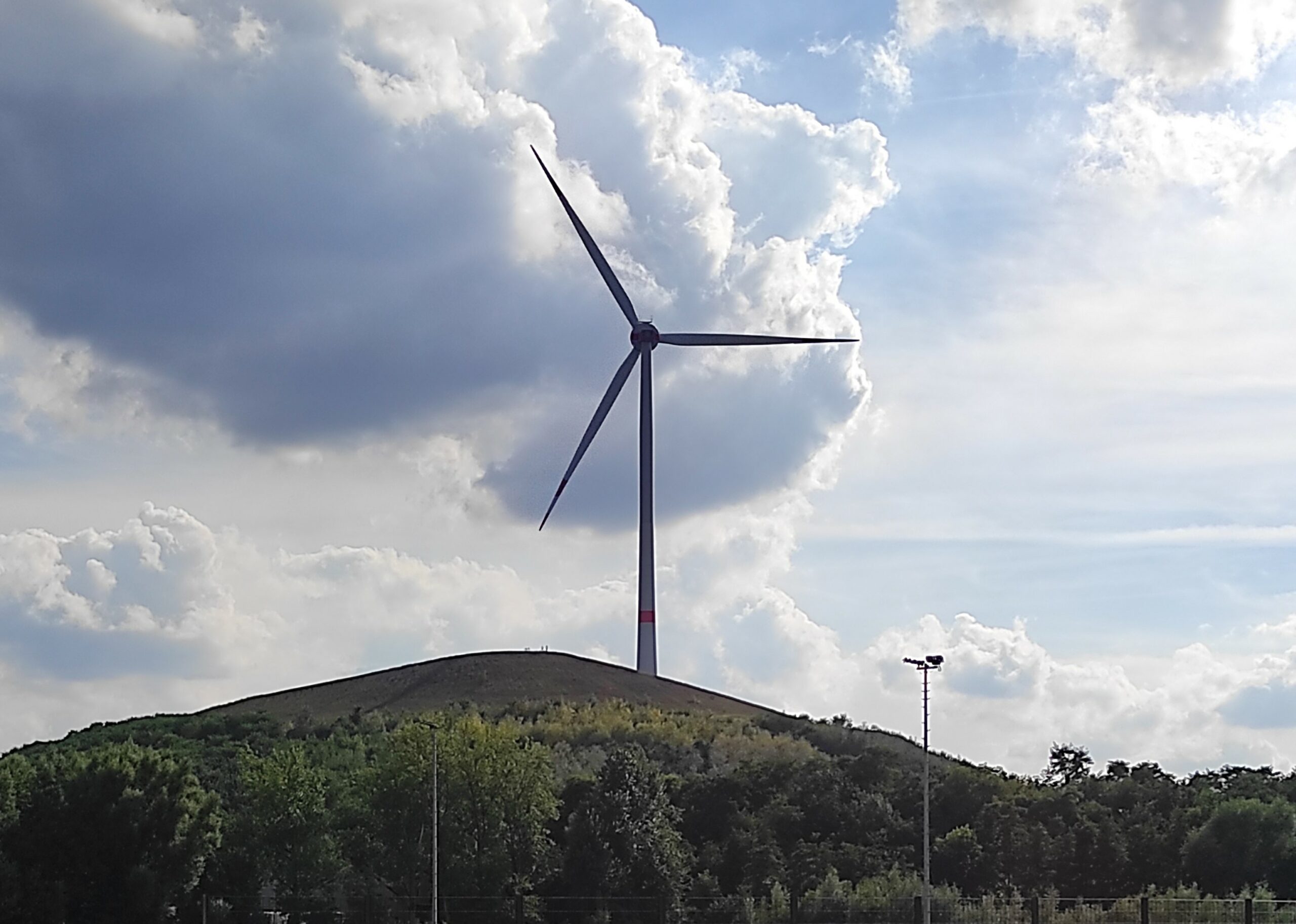 Weinbau auf der Mottbruchhalde